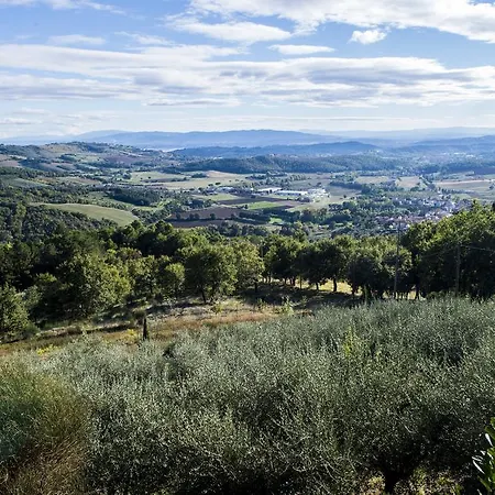 Byzantine Feel Piccione