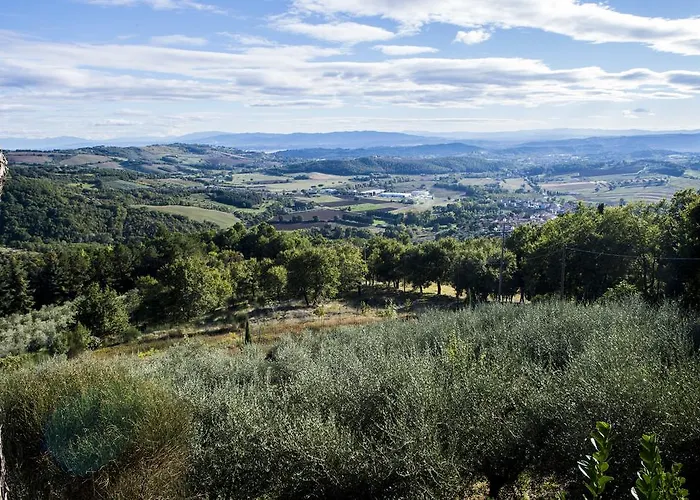 Byzantine Feel Piccione